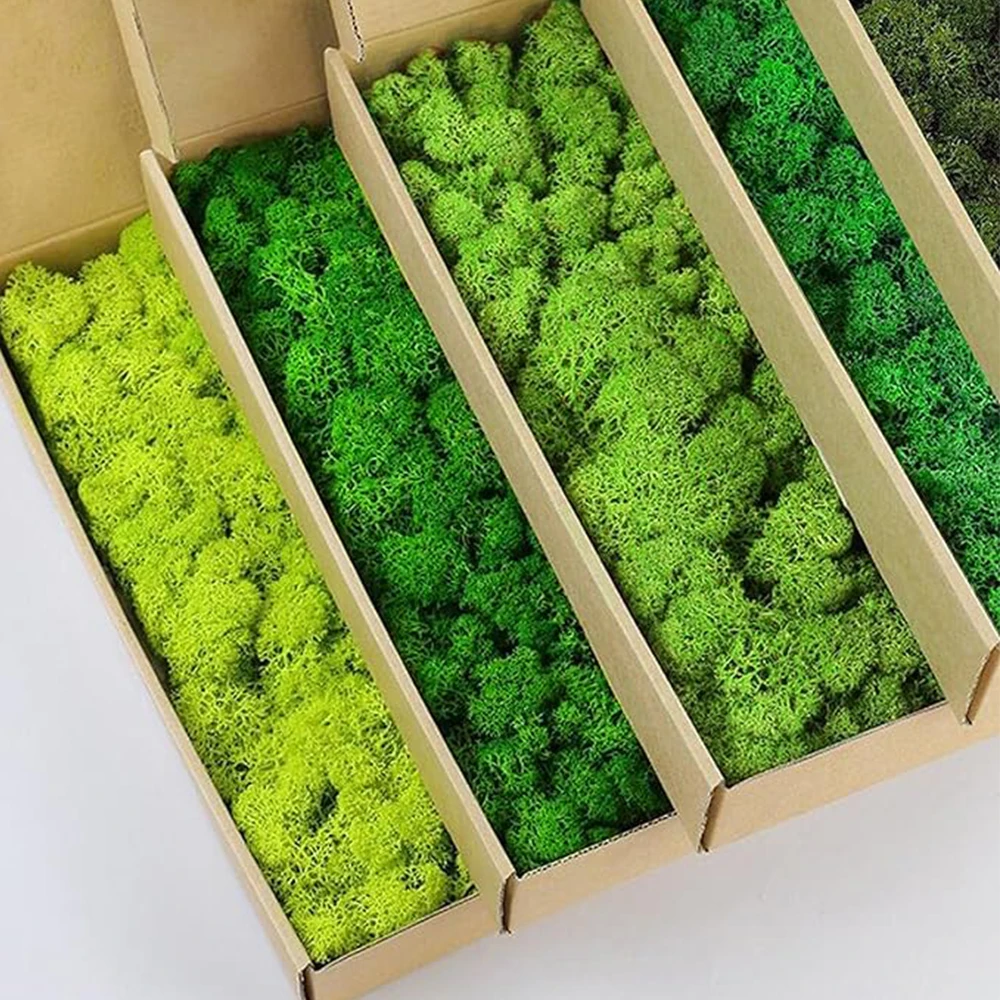 20-200 г искусственные зеленые – обзор и цена Terrarium Moss Art