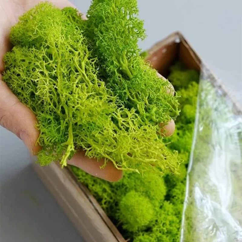 20-200 г искусственные зеленые – обзор и цена Terrarium Moss Art