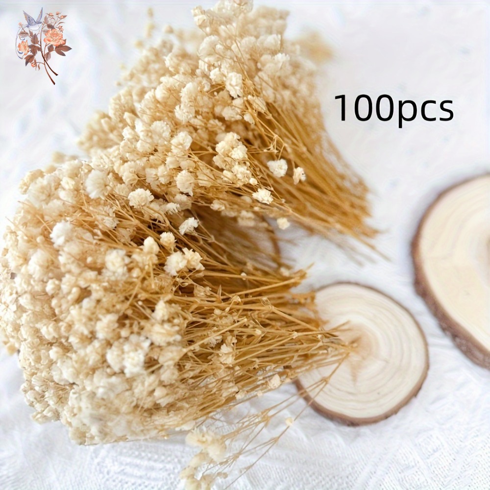 100 шт. миниатюрных сушеных цв – обзор и цена Resin Craft Ideas
