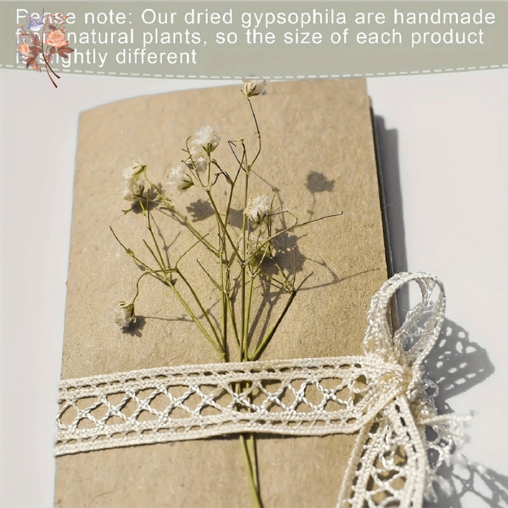 100 шт. миниатюрных сушеных цв – обзор и цена Resin Craft Ideas